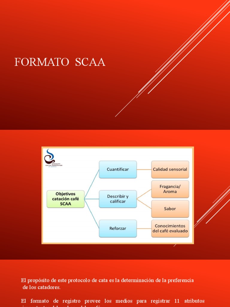 Formato de Cata SCAA para Café | PDF