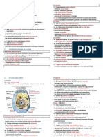 F2 La Cellule Animale Et La Mitose