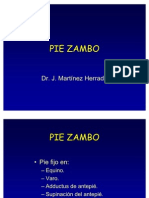 Pie Zambo PPT Share)