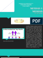Sem-1-Mitosis y Meiosis
