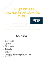 THA Cấp Cứu 2019 Bs CKII Kiều Ngọc Dũng Phó Trưởng Khoa Điều Trị Rối Loạn Nhịp Bệnh Viện Chợ Rẫy