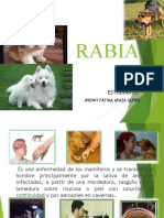 RABIA DIAPOSITIVAS EXPONER