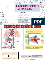 Embriología Sem5