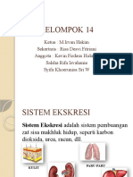 Kelompok 14