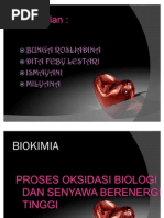 Download BIOKIMIAKel2 by Yang Bunga Rosliadina SN58068530 doc pdf