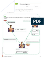 4 - Act 6 El Proceso Digestivo-1