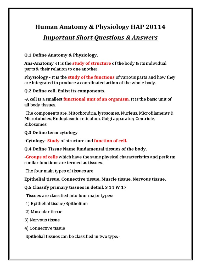 Anatomy & Physiology Key Q&A Guide | PDF | Blood Cell | Heart Valve
