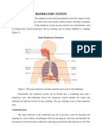 Respiratory System