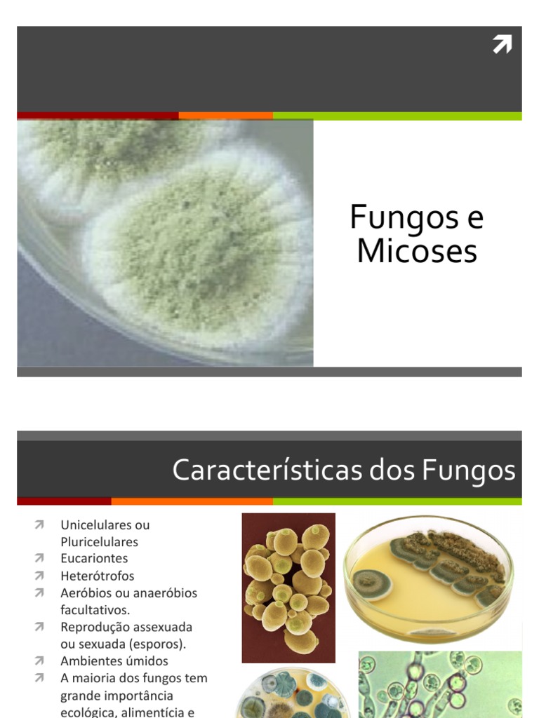 Fungos e Micoses 21 | PDF | Candidíase | Fungo