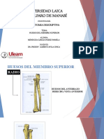 Anatomia Descriptiva 1erex Miembro Superior