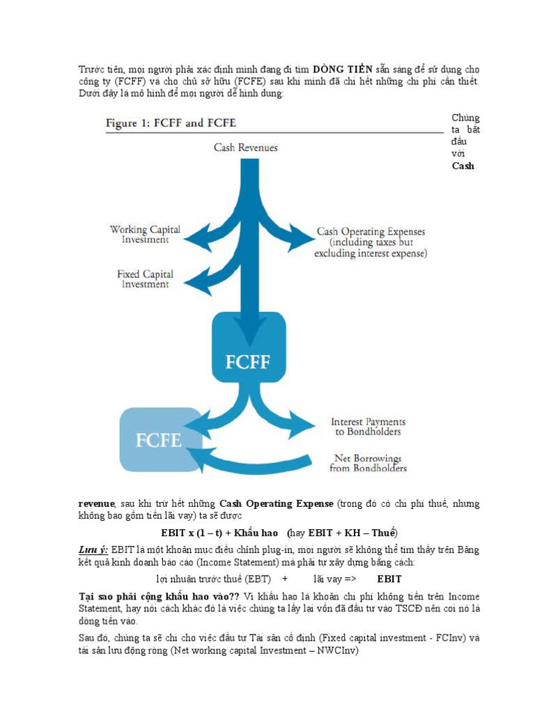 FCFF Và FCFE | PDF