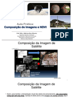 Aula Prática - Composição de Imagens e NDVI