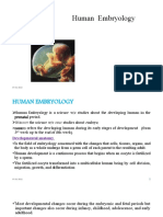 Human Embryology: From Fertilization to Birth