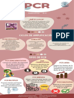 Infografía PCR