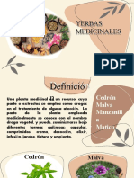 Plantas Medicinales