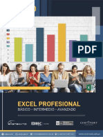 Temario Excel Profesional Basico