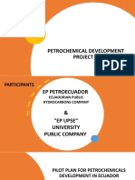 PPP Proyecto Petroquimico English
