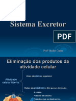 Sistema Excretor Urinário