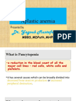 Causes and Pathogenesis of Aplastic Anemia