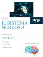 Sistema Nervoso