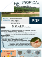 Malaria