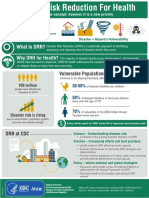 Disaster Risk Infographic