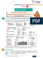 Ficha 8 VII Matematica