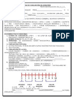 292124759-Ficha-de-Evaluacion-en-Geriatria