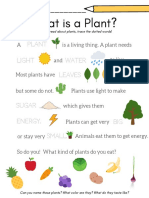 What Is A Plant?: Plant Light Water Leaves