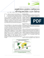 Trigo Transgénico para Celíacos y Arroz Enriquecido Con Lisina