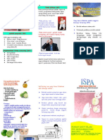 Leaflet Ispa