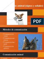 Comunicación Animal