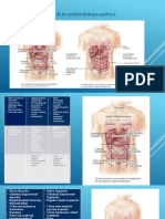 Cuadrantes de La Cavidad Abdominopélvica