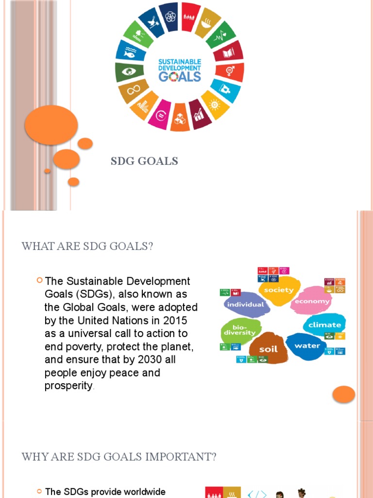 SDG GOALS | PDF