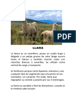 LLAMA