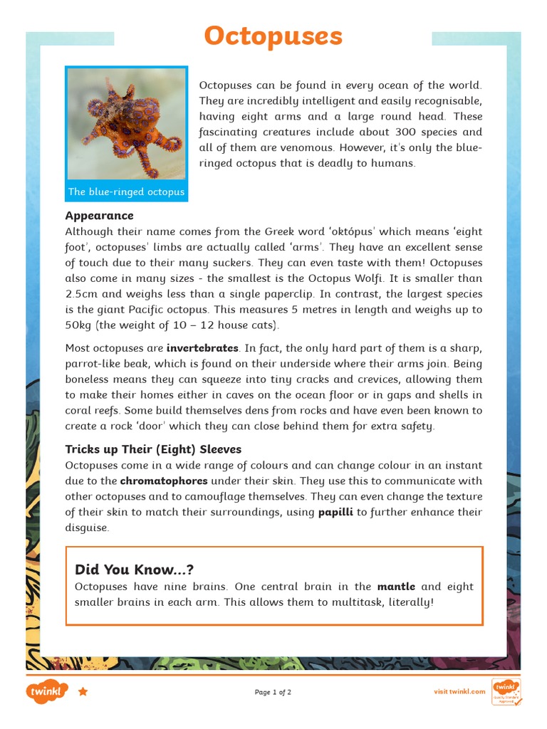 Octopus Facts: Species, Traits, and Defense | PDF | Octopus | Predation
