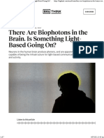 There Are Biophotons in The Brain. Is Something Light-Based Going On - Big Think