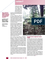 (Es) PDF
