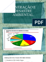 Mineração e Desastre Ambiental