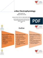 Basic Cardiac Electrophysiology Explained