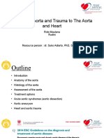 Rido, Rudini - Disease of Aorta and Trauma To The Aorta