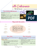 Matriz Del Desarrollo Embrionario