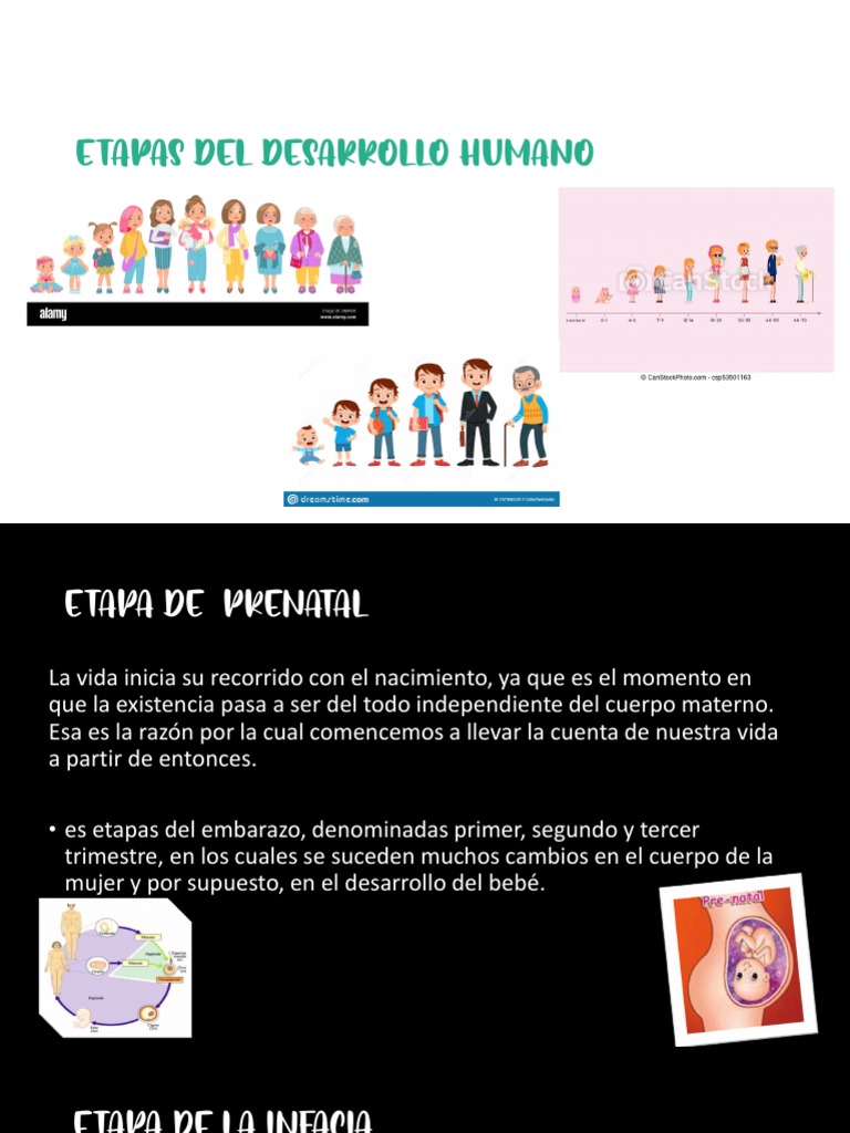 Etapas Del Desarrollo Humano 6 | PDF | Adultos | Adolescencia