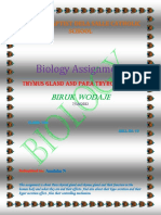 Biology Assignment: Biruk Wodaje