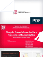 Bioelectricidad, Estímulos Eléctricos