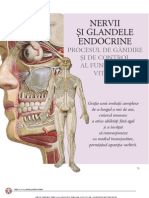 Site Atlas Anatomie