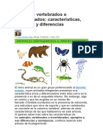 Animales Vertebrados e Invertebrados