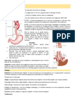 Esófago y Sus Patologías