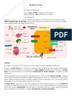 Metabolismo de Hierro