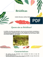 Briófitas: plantas avasculares sem vasos condutores